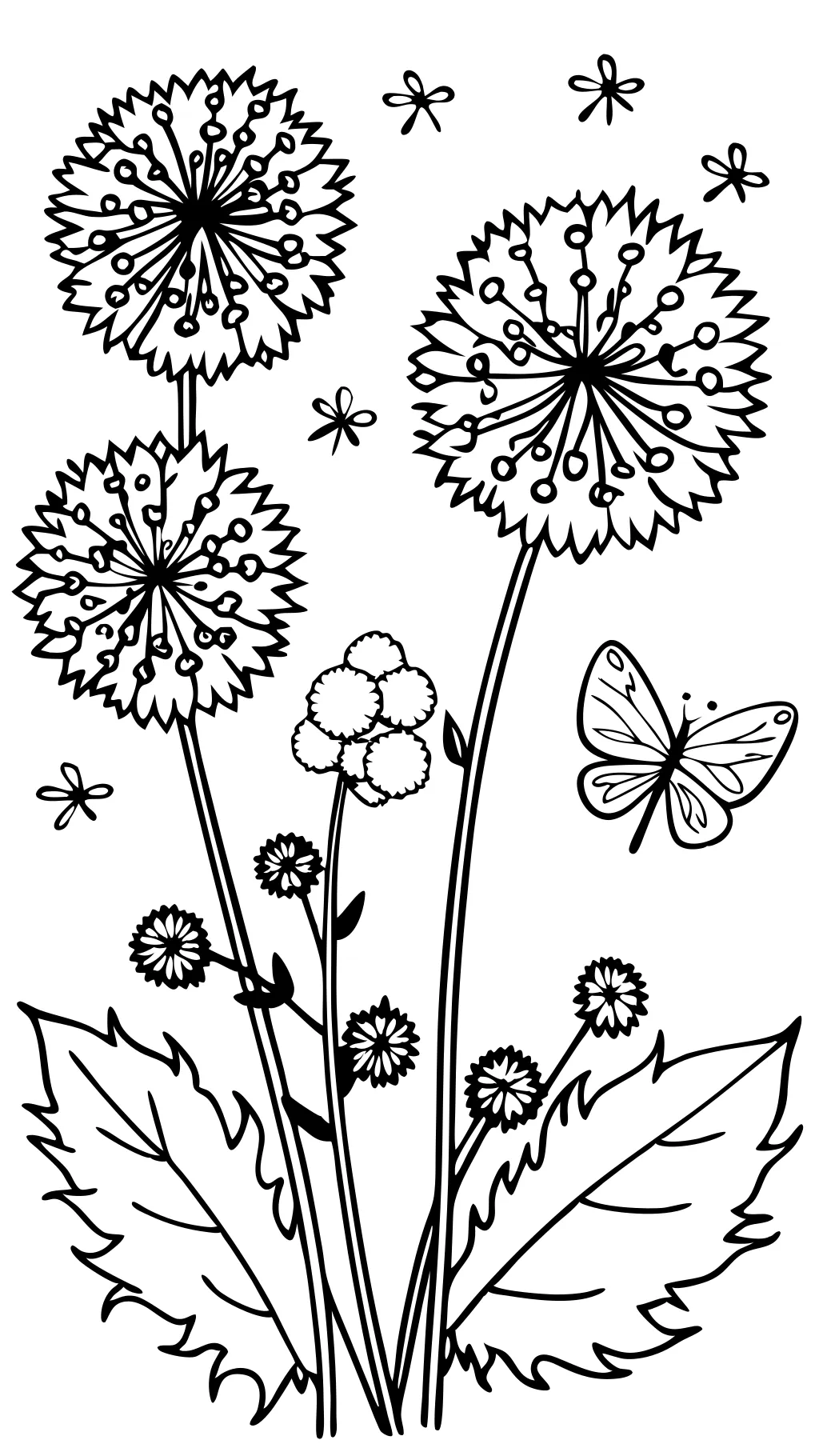 dandelion coloring page